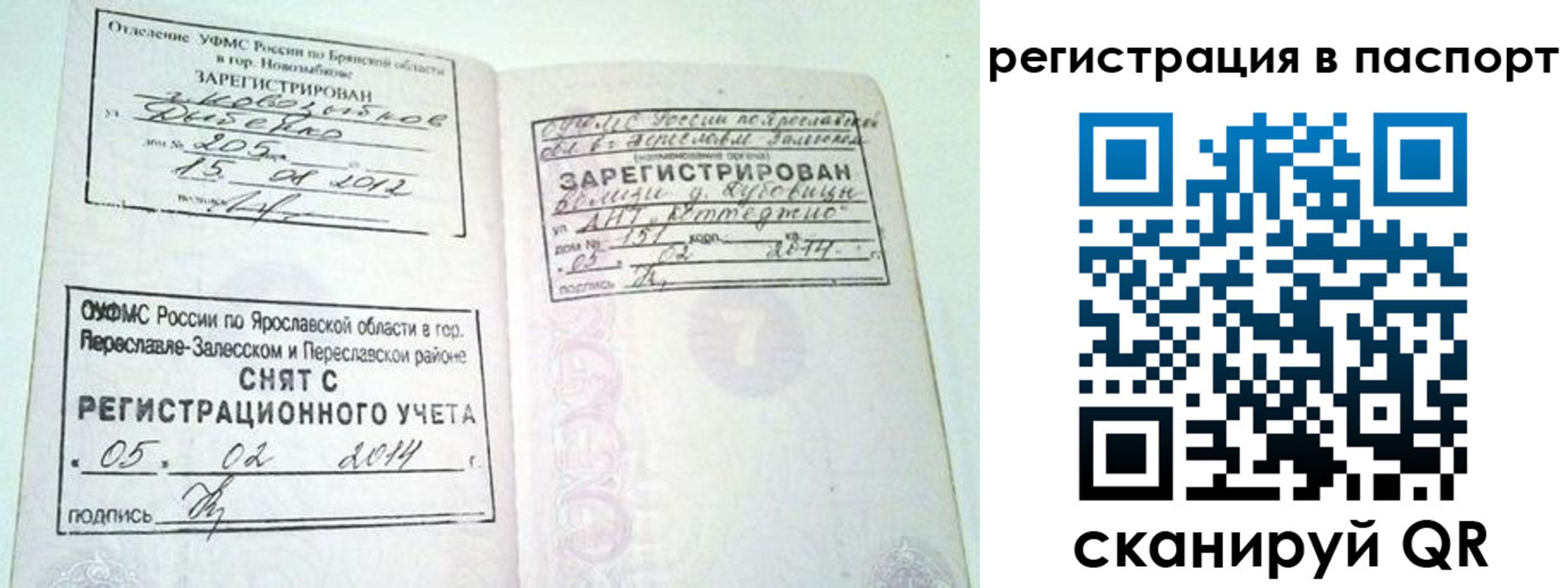 прописка в квартире в Ельне